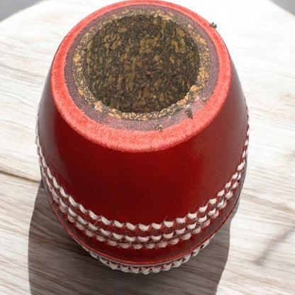 CRICKET-GIFTS - Cricket Ball Pen Holder | Handcrafted Australian Leather | Cork & Rubber Core | Ideal Desk Accessory for Cricket Enthusiasts | Cricket Mugs & More, Leather