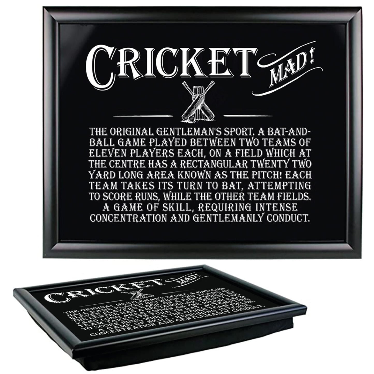 Cricket lap tray